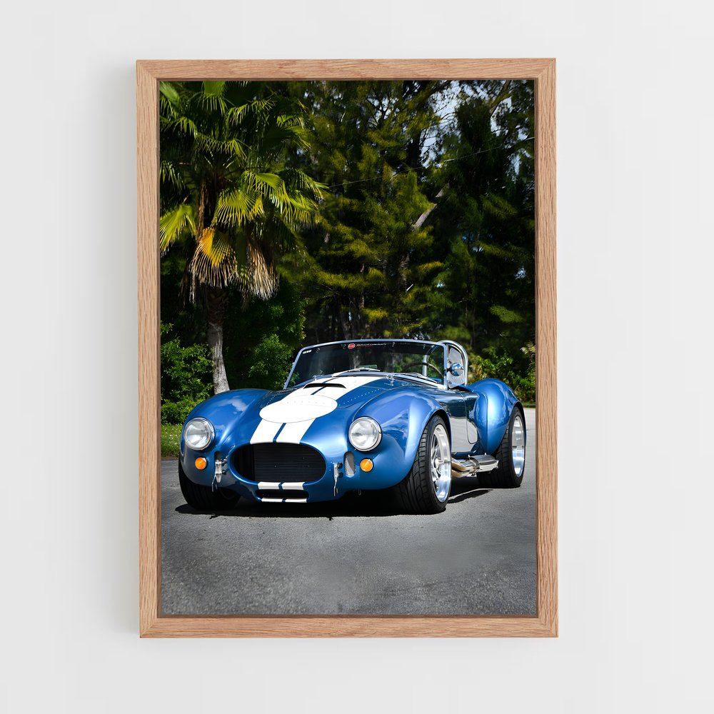 Poster Cobra Sportif – affiche AC Cobra (vue 4)